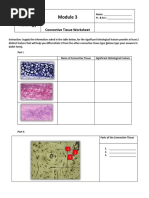 Connective Tissue Laboratory Worksheet