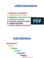Basic Auditing Assumptions Audit