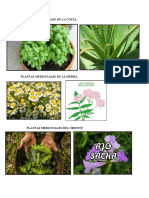 Plantas Medicinales de La Costa