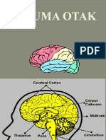 Trauma Otak