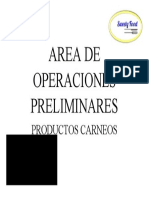 Formato 3 Area de Operaciones Preliminares Carnes