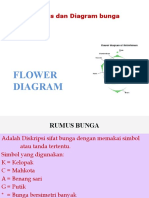 Rumus Dan Diagram Bunga 2b