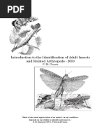 Insect Orders Identification Key | PDF | Insects | Arthropods