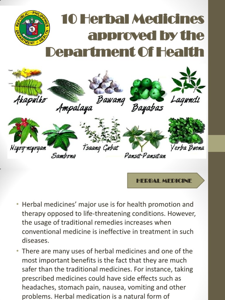 10 Herbal Medicines Approved by The Department of Health PDF Adverse Effect Allergy