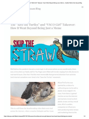 Marine Biologist Whose Video Showed Straw Being Removed From Turtle Has  Another Message For The World