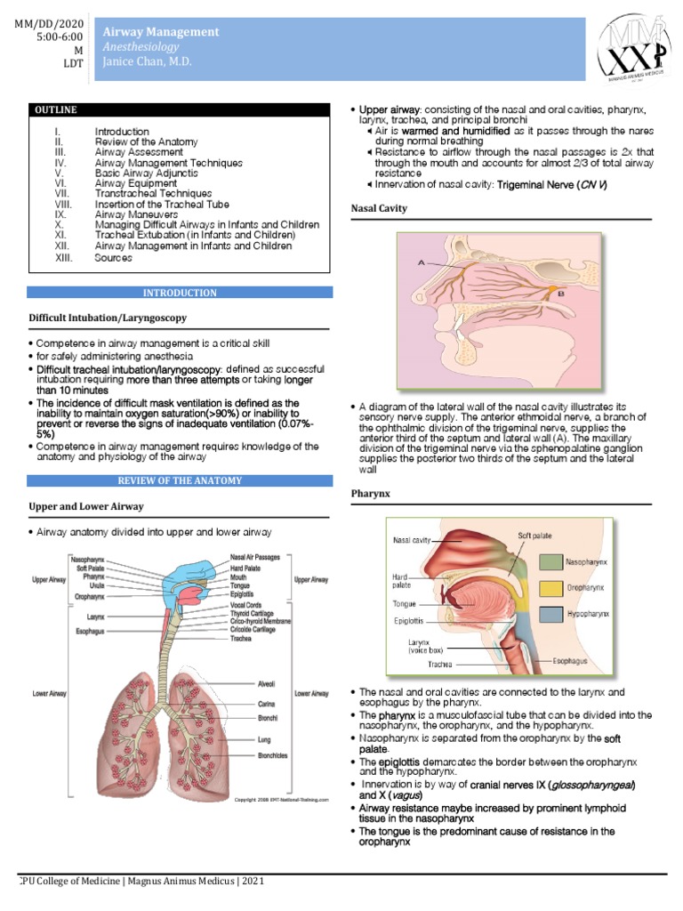 Janice Chan, M.D. Anesthesiology PDF Larynx Respiratory System