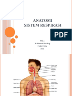 Anatomi Sistem Respirasi (22 Agustus)