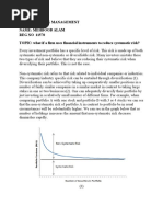 Financial Risk Management Reducing Systematic Risk