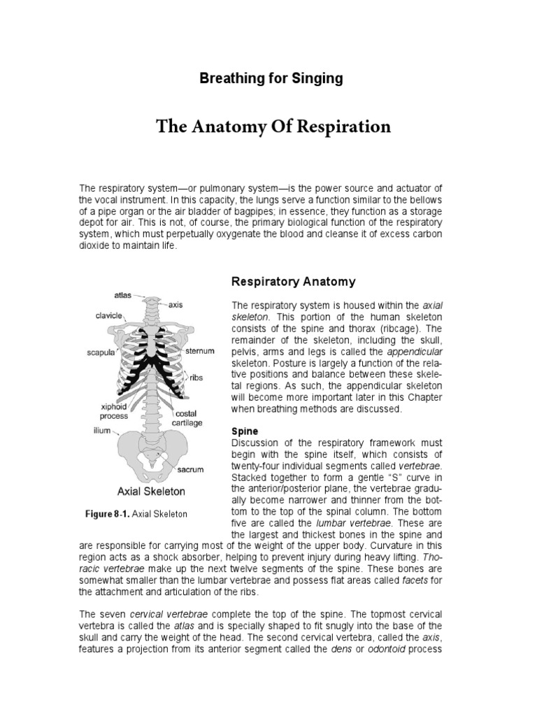 Breathing Techniques for Singers | PDF | Abdomen | Vertebra