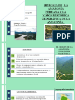 Informe Sobre La Historia Amazónica y Visión