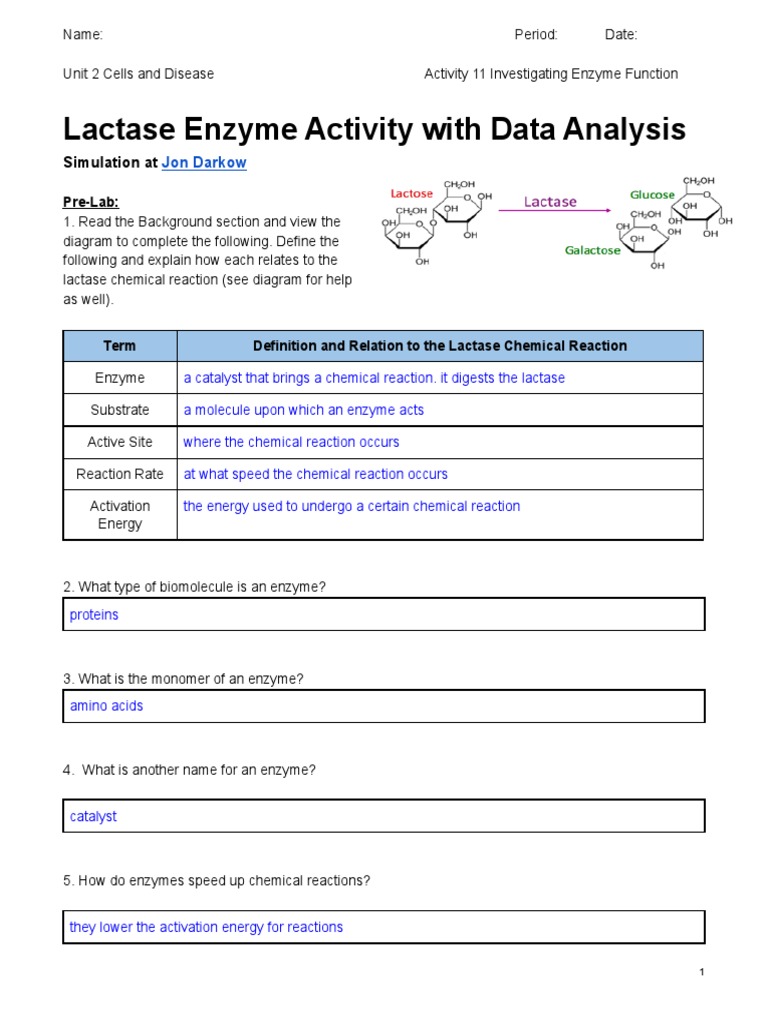 BioGT Lactase Enzyme Activity Virtual Lab PDF Enzyme Chemical