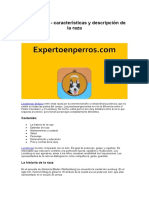 Leonberger - Características y Descripción de La Raza
