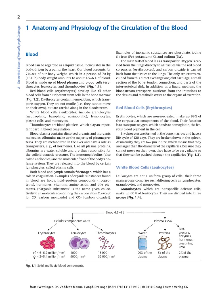 1 Anatomy and Physiology of The Circulation of The Blood | PDF | Blood ...
