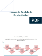 Causas de Pérdida de Productividad