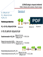 Ejercicio 4 (Tema 6) - Producción Primaria Bosque Caducifolio