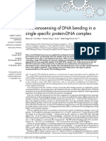 Mechanosensing of DNA Bending in A Single Specific protein-DNA Complex