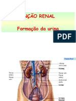 1 -Função renal 1