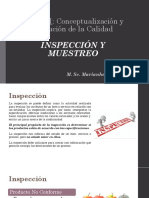 Inspección y Muestreo (Te)