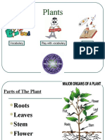 Plants: Science Vocabulary Play With Vocabulary