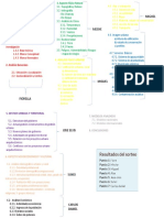 Metodologia Planteada 1