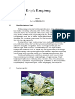 1.bisnis Plan Kripik Kangkung