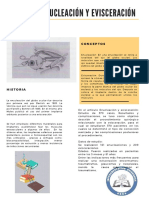 Enucleación y evisceración: técnicas, complicaciones e implantes