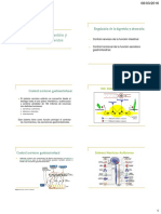 Regulación de Digestión y absorción-ASmaterial