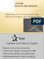 Nervous System - General