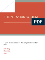 -Nervous System Homwork