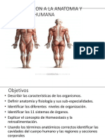 Anatomofisiologia Humana