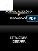 Anatomia Radiologica Img