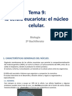 El núcleo celular: estructura y función del orgánulo eucariota