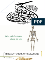 Muscular Presentation of Anatomy First Class For Rokhan University