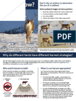 Bull or Cow Caribou How To Distinguish in Field