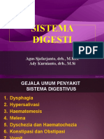 Sistema Digeti - I