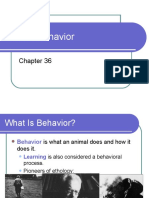 Animal Behavior