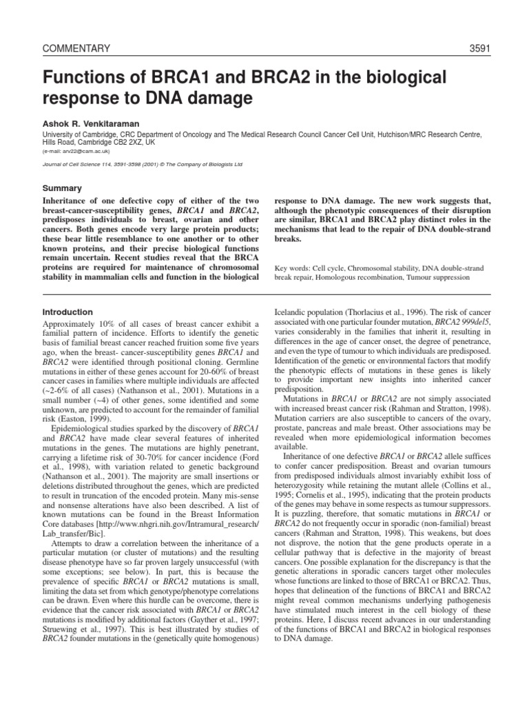 BRCA1 y BRCA2 | PDF