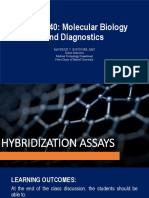 Hybridization+Assay 2