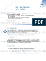 Intestino delgado Enterostomías