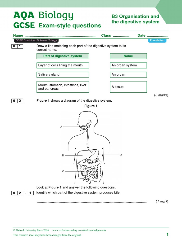 ExamStyle Questions B3 Organisation and The Digestive System PDF