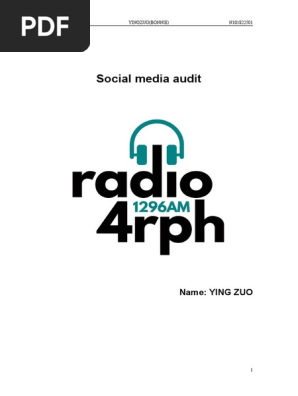 Social media audit