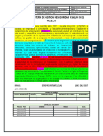 Alcance SST empresa X