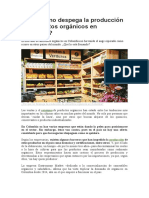 Por Qué No Despega La Producción de Alimentos Orgánicos en Colombia