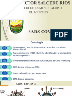 Sarc - Covid 19 Exposición Final