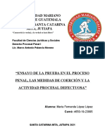 Ensayo de Derecho Procesal Penal I. MFLL