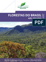Florestas_Brasil_2019_Português