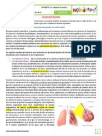 1.f.08-09-17-Sistema Respiratorio