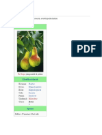 Download buah pir by moecha12 SN50577713 doc pdf