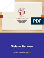 Sistema Nervoso Humano PPT - 8o Ano Ana Gardenia