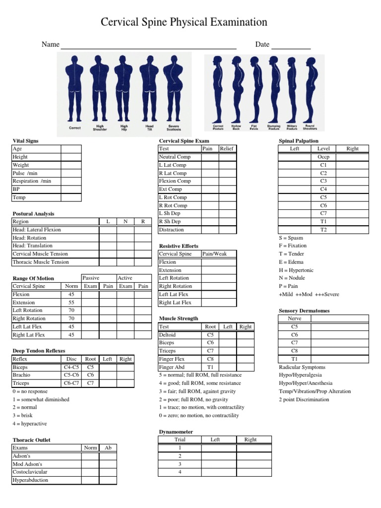 Cervical Spine Examination Protocol | PDF | Spinal Cord | Human Anatomy